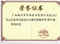 山東省學(xué)生裝設(shè)計(jì)大賽優(yōu)秀團(tuán)隊(duì)獎(jiǎng)